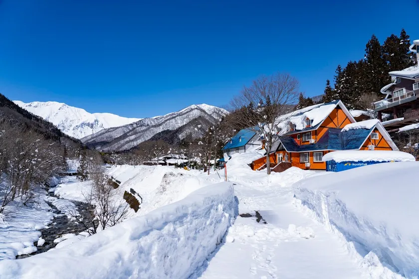 Cabin in the nature of Japan｜We speak Spanish - Image 1