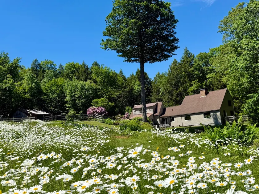 Shagbark, A Gay Rock River Guest House - Image 1