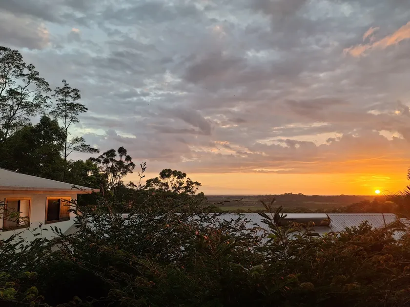 Treetop Retreat with Sunrise and Ocean Views - Image 1