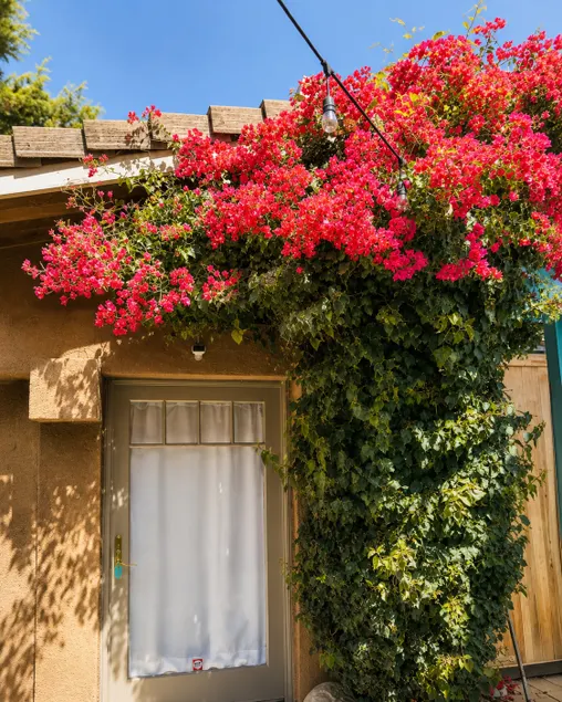 Charming Rockridge Cottage| Walkers’ Paradise - Image 1