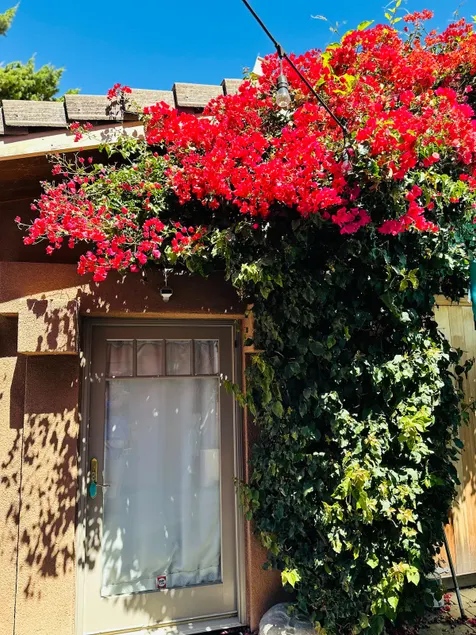 Charming Rockridge Cottage | Walkers’ Paradise - Image 1