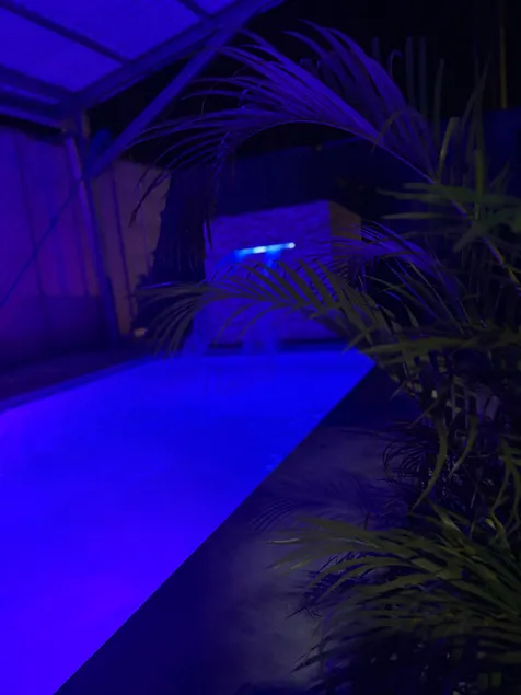 Pure Life Papagayo House - Image 1