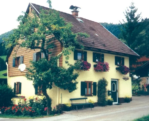Romantic house with a view of the Dachstein - Image 1