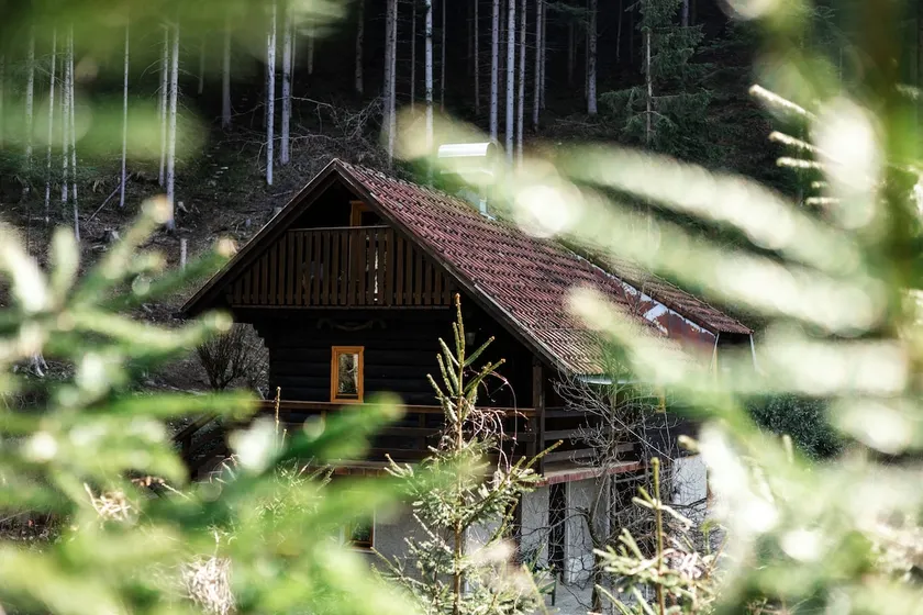 Marjeta's Forest Cabin - Image 1