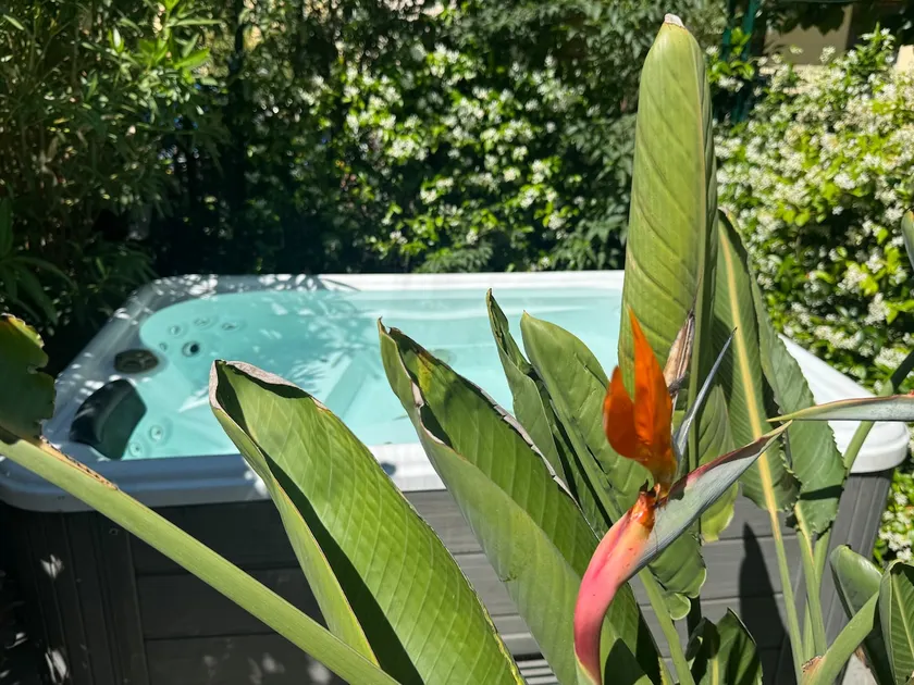 New Florence Amazing Private Pool and Garden Wi-Fi - Image 1