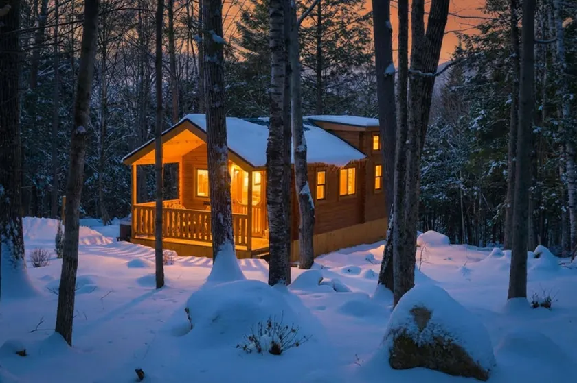 Grapevine Cabin - Image 1