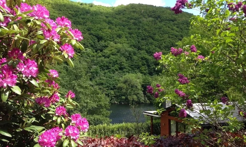 Private sauna. Fireplace. Pure nature and tranquility. - Image 1