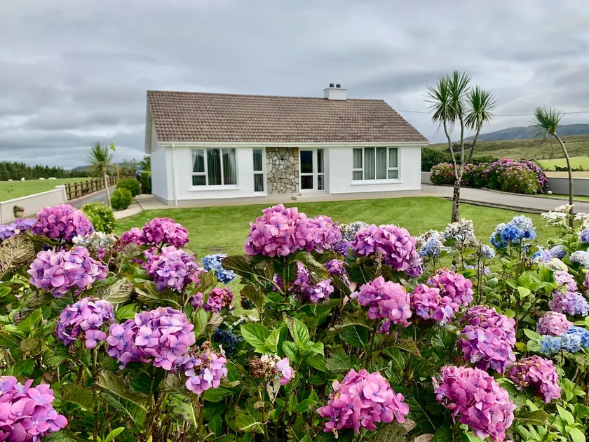 Derryveagh House - Image 1