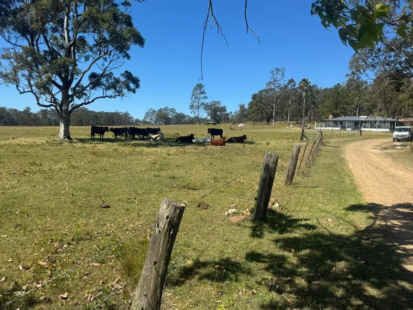 Private Country Escape | 40 Hectares near Forster - Image 1