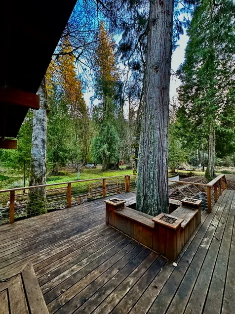 Riverfront Getaway in McKenzie Forest - Image 1