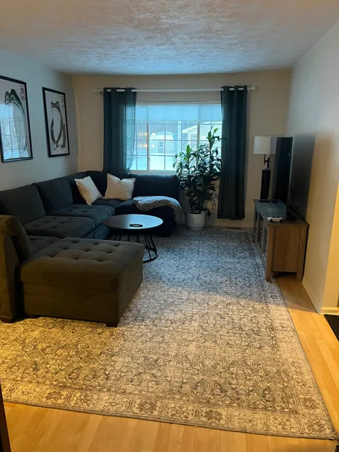 Nice Duplex Apartment near MSU - Image 1