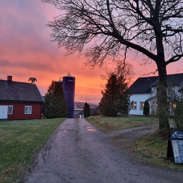 The red little house - Image 1