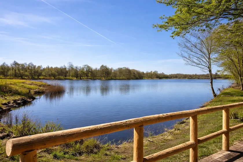 Cozy recreational pod on the lake - Image 1