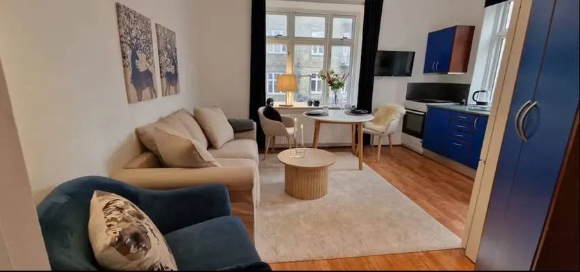 Central 1BR Studio - Walk Everywhere in Aarhus - Image 1