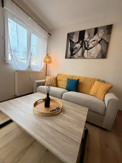 Cozy apartment in the heart of Le Mans - Image 1