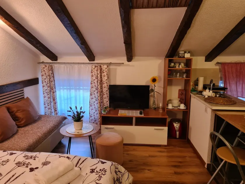 Studio apartment Viola - Image 1