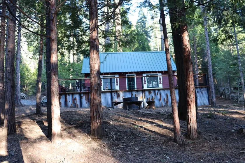 The Little Pine Cabin - Image 1