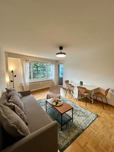 Cozy Apartment on Brahmstrasse in Zürich - Image 1