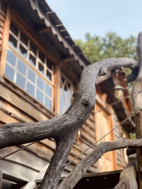 Treehouse - Image 1