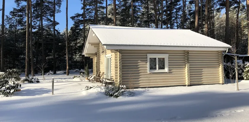 Cozy log cabin with sauna and pool - Image 1