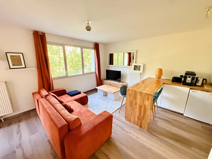 One-bedroom apartment near Lille and CHR, balcony, pond view, parking - Image 1