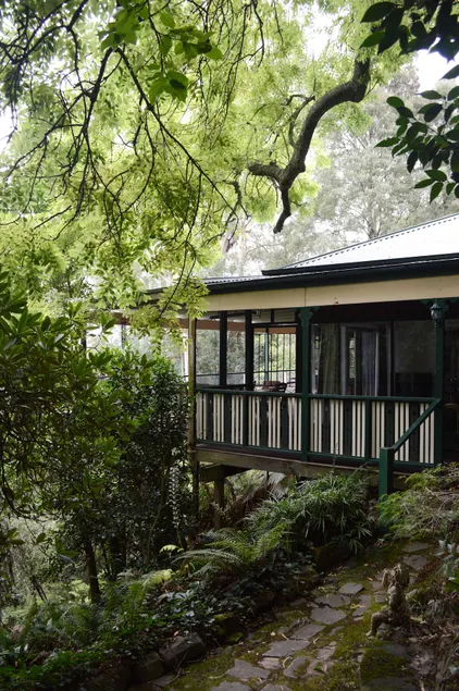 The Fernery: Cosy Bay & Forest Views & Lyrebirds - Image 1