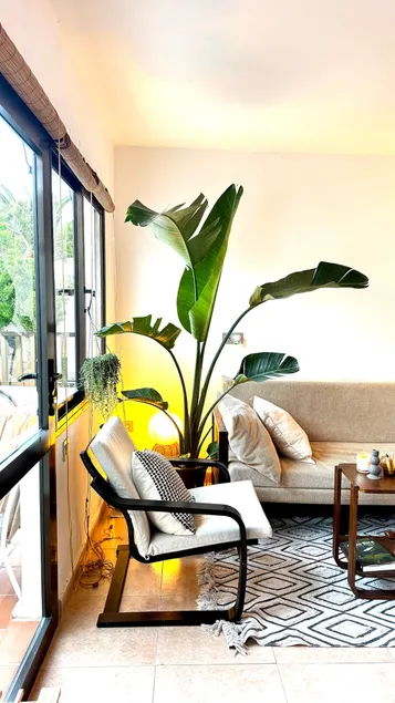 Sabinas place - Image 1