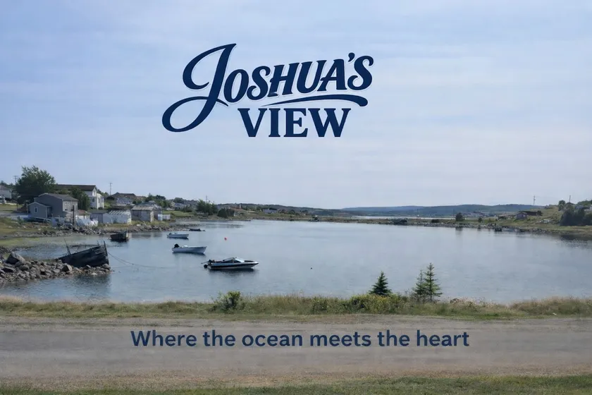 Joshua's View - Image 1