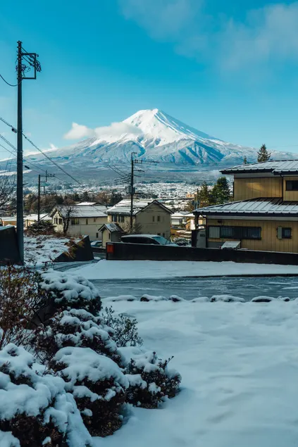 2F/Momiji - Image 1