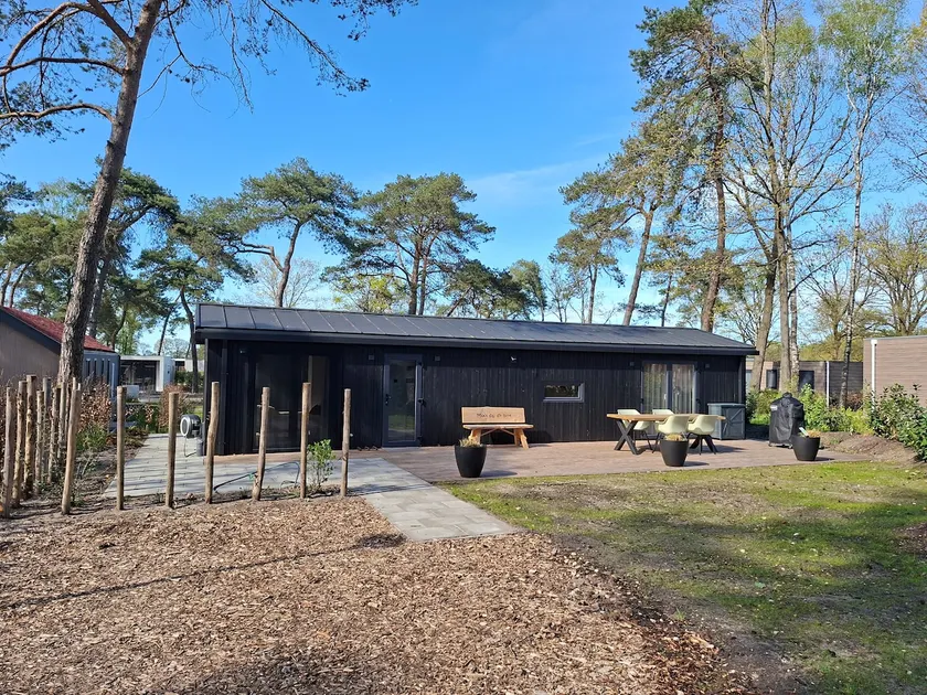 Modern Forest House in Sallandse Heuvelrug – Peace & Luxury - Image 1