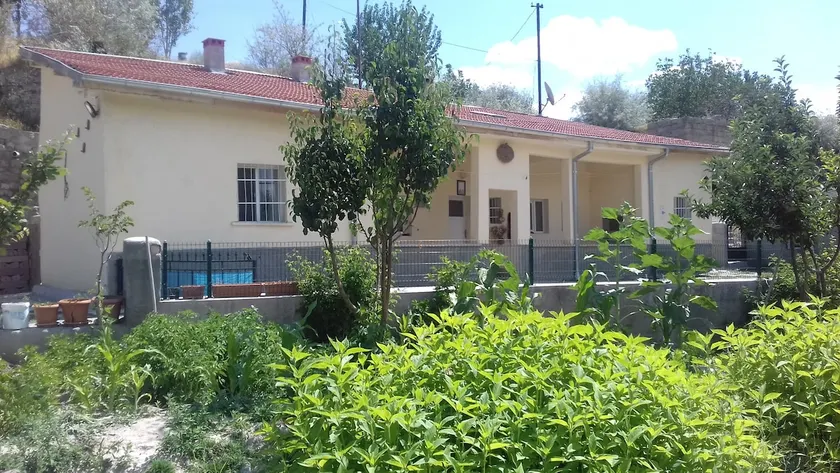 Little House - Image 1
