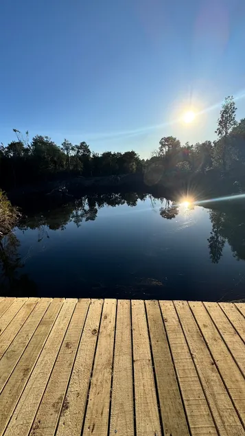 Cabin with Lagoon View and Native Forest - Image 1