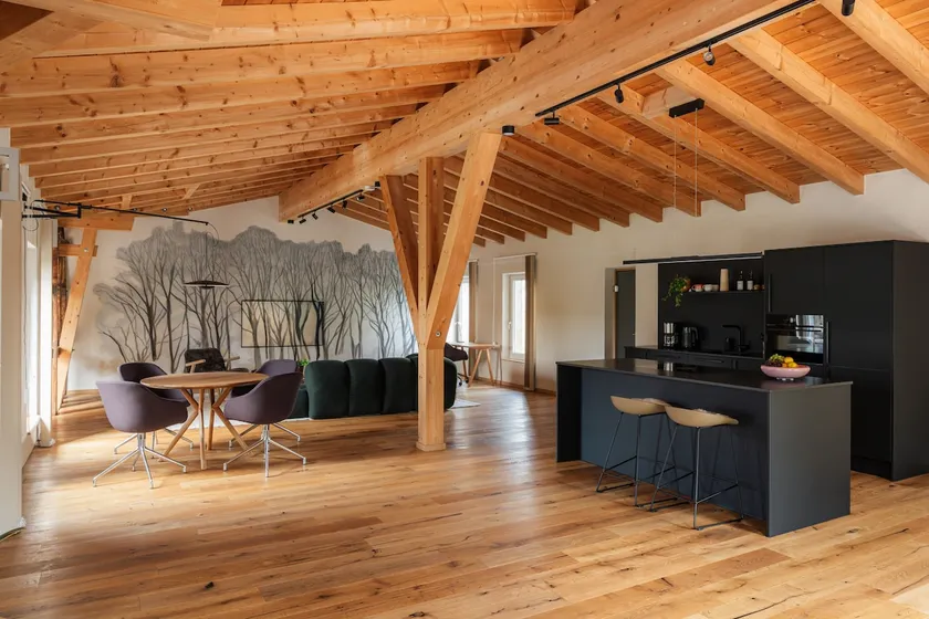 150 sqm luxury loft with sauna and swimming pond - Image 1