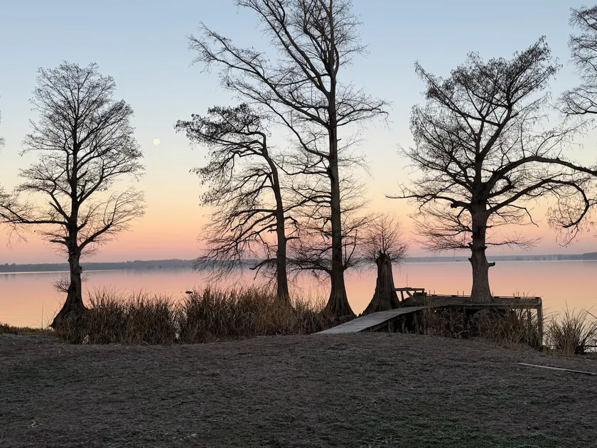 Waterfront Duck & Fishing Lodge -Private Dock - Image 1