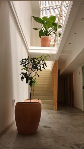 loft/llolleo - Image 1