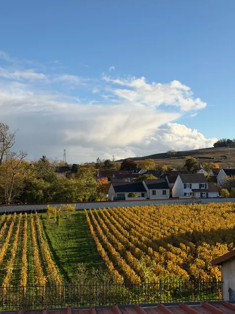 Comfortable apartment with vineyard view - Image 1