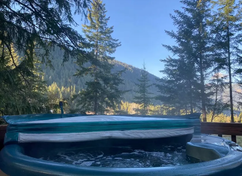 Cozy cabin #1 w/ hot tub (sicamous) - Image 1