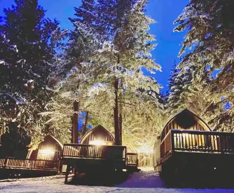 Cozy cabin #1 w/ hot tub (sicamous) - Image 1
