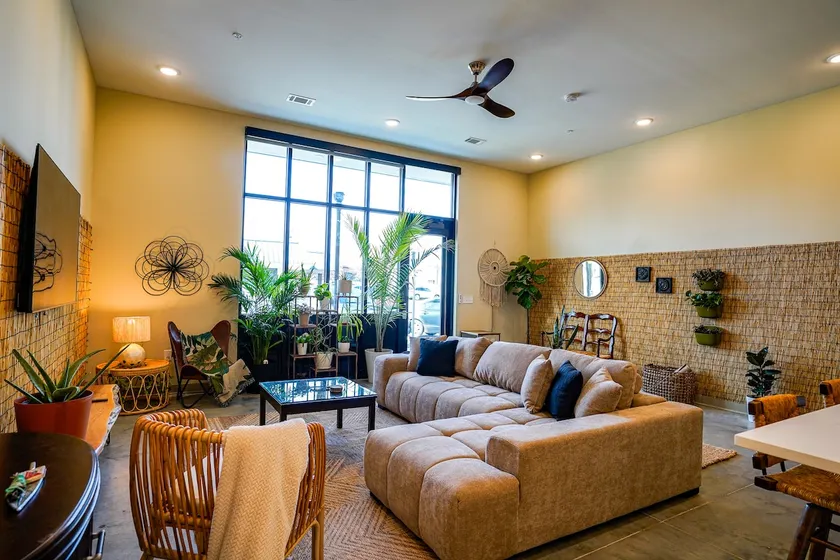 Jungle Jasper Suite - NEW Loft near Massachusetts! - Image 1