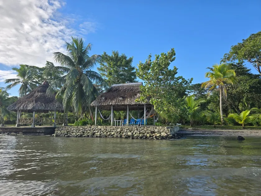 DLiv-Tropical paradise for 7 facing the ocean - Image 1