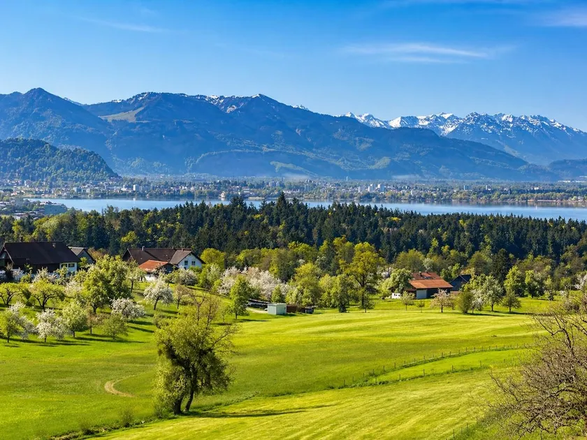 Alpine view: Quiet & nature near Lake Constance - Image 1