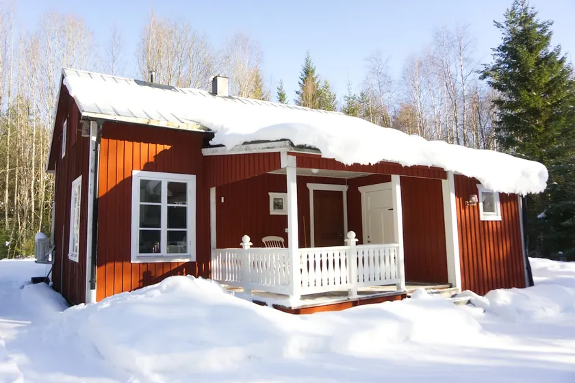 Cozy forest cabin - Image 1