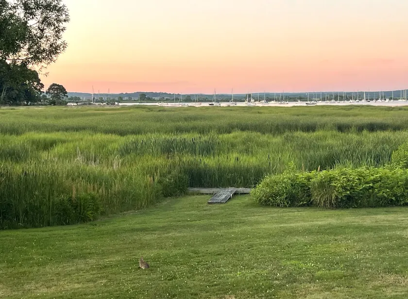 Shoreline Cottage with Waterview - Image 1