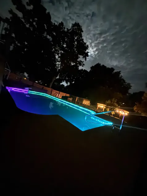 The Moonlit Oasis - Image 1