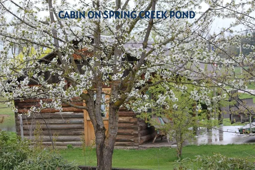 Cabin on Spring Creek Pond - Image 1