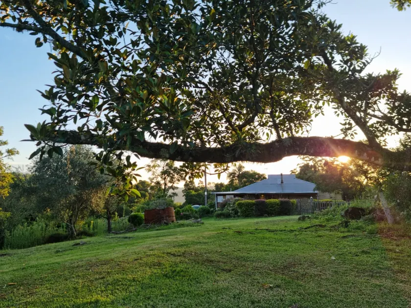 Frogmouth Farm - Image 1