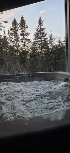 Brookside Burrow w/ Hot Tub and Lake Access - Image 1