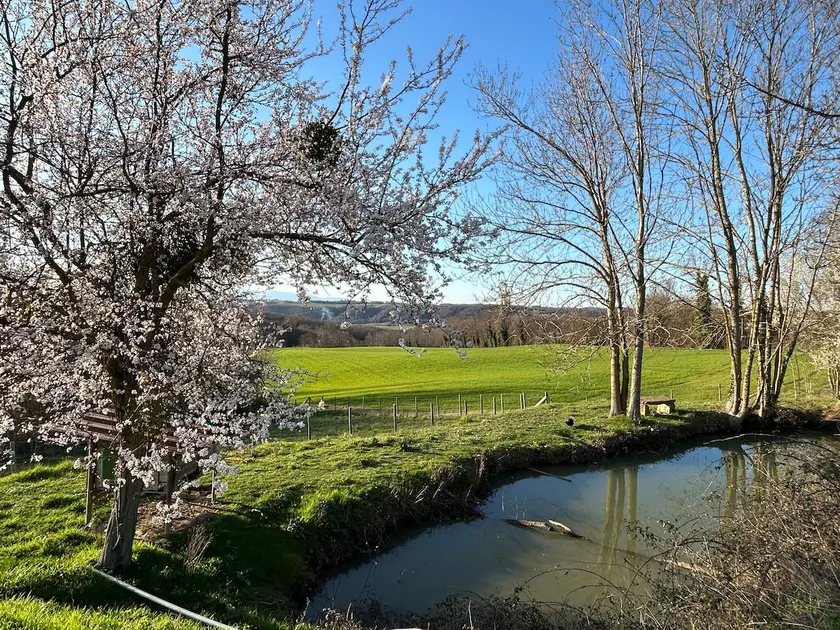 Bel-Air des Collines - Image 1