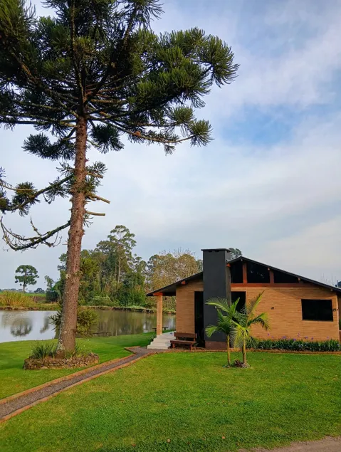 Cantinho da colônia - Image 1