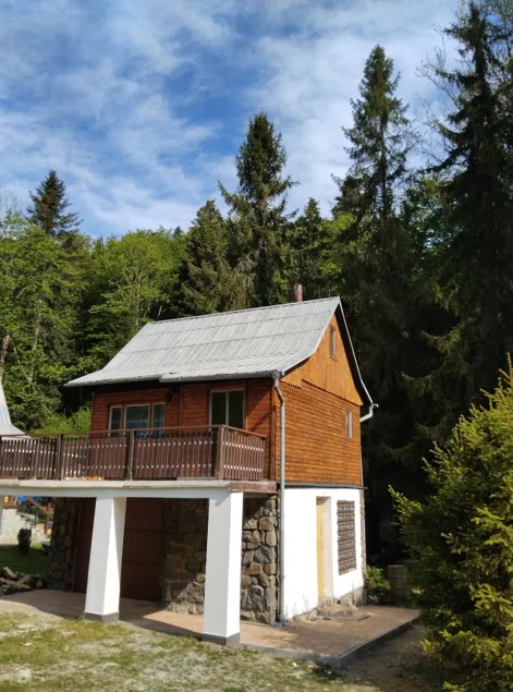 Forest cabin, new bathroom - Image 1